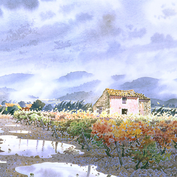 Cabanon-dans-les-vignes