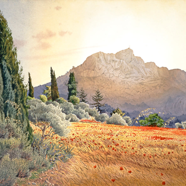 Coquelicots-à-Sainte-Victoire