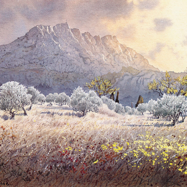 Oliviers-à-Sainte-Victoire