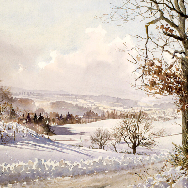 Paysage-de-neige-en-Argovie